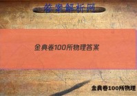 金典卷100所物理 答案
