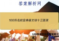 100所名校金典卷文综十三 答案