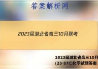 2023届湖北省高三10月联考(23-87C)化学试题答案