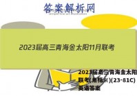 2023届高三青海金太阳11月联考(角标※)(23-81C)英语答案
