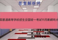2023届普通高等学校招生全国统一考试 11月青桐鸣大联考(高三)历史答案
