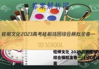 桂柳文化 2023高考桂柳鸿图综合模拟金卷一(1)政治试题答案