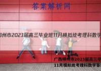 广西柳州市2023届高三毕业班11月模拟统考理科数学答案