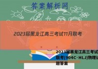 2023届黑龙江高三考试11月联考(904C·HLJ)物理试题答案
