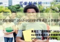 黑龙江“五校联谊”2022~2023学年度高三上学期期中考试(P3028C)数学试题答案