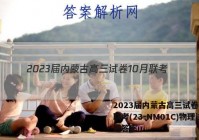 2023届内蒙古高三试卷10月联考(23-NM01C)物理试题答案