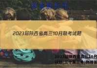 2023届陕西省高三10月联考试题(三个黑三角)物理答案