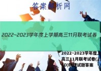 2022~2023学年度上学期高三11月联考试卷(233198D)物理试题答案