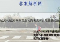 2022~2023学年金科大联考高三11月质量检测(新教材)化学试题答案