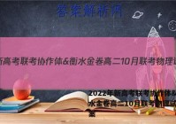 2022年新高考联考协作体&衡水金卷高二10月联考物理试题答案