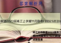 皖江名校联盟2023届高三上学期11月联考[C-023]政治试题答案