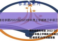 衡水金卷先享题 2022-2023学年度上学期高三年级三调考试(老高考)化学试题答案