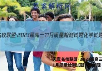 天壹名校联盟·2023届高三11月质量检测试题化学试题 答案