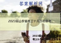 2023届山东省高三十月百校联考(23-54C)物理试题答案