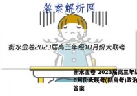 衡水金卷 2023届高三年级10月份大联考(新高考)政治试题答案
