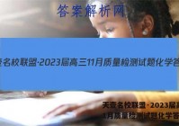 天壹名校联盟·2023届高三11月质量检测试题化学答案