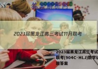 2023届黑龙江高三考试11月联考(904C·HLJ)数学试题答案