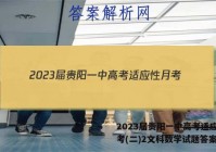 2023届贵阳一中高考适应性月考(二)2文科数学试题答案