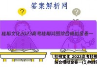 桂柳文化 2023高考桂柳鸿图综合模拟金卷一(1)物理答案