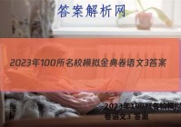 2023年100所名校模拟金典卷语文3 答案