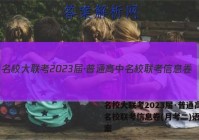 名校大联考2023届·普通高中名校联考信息卷(月考二)语文答案