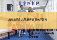2023届金太阳重庆高三9月联考(802C·C QING)数学答案