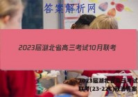 2023届湖北省高三考试10月联考(23-22C)政治答案