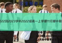 1号卷·A10联盟2022-2023学年2022级高一上学期11月期中联考化学试题答案