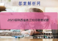 2023届陕西省高三10月联考试题(三个黑三角)政治答案
